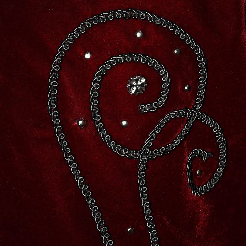 Gorgeous Gentlemen Stand Collar Red Gothic Velveteen Coat